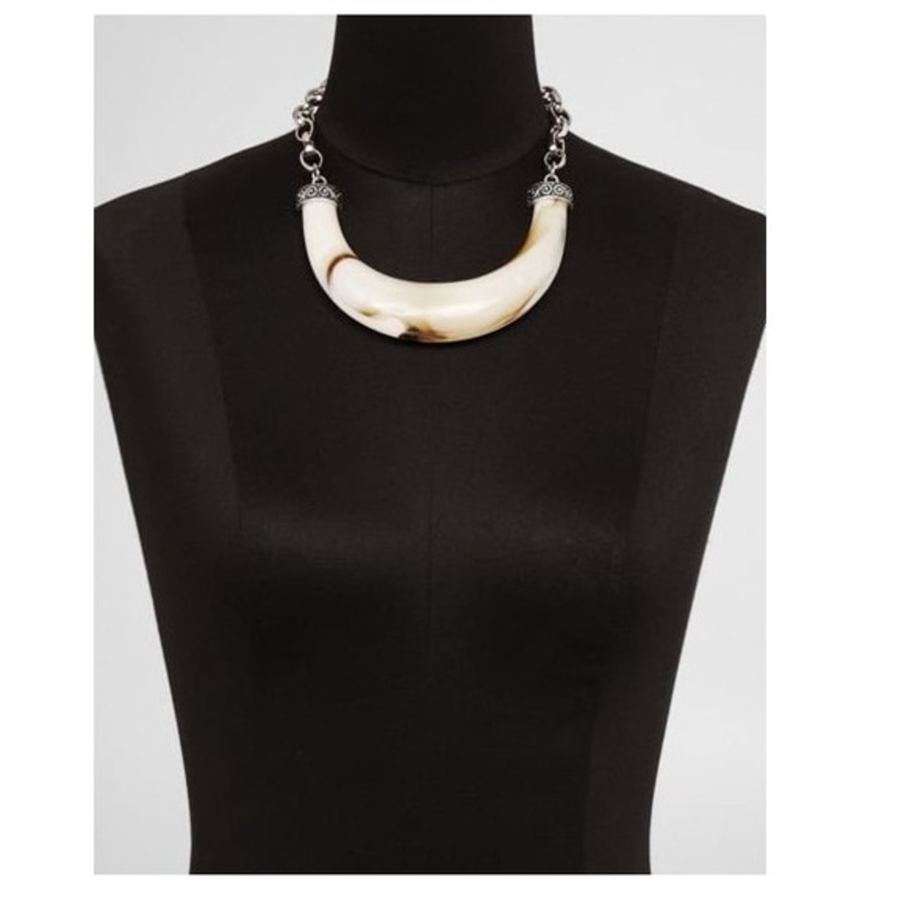 NWOT EXPRESS Silver & Multi-Colored Resin Necklace